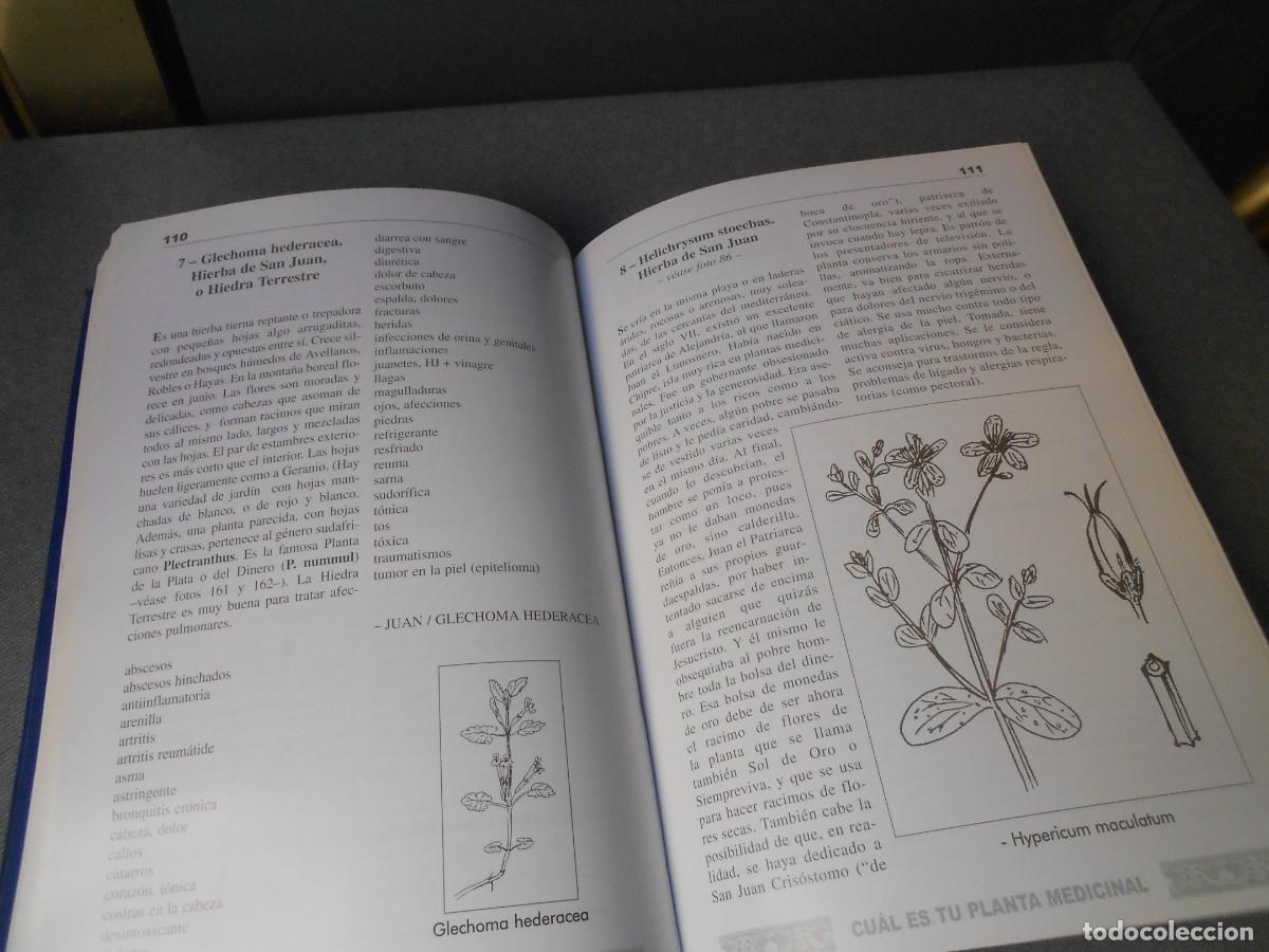 Libros de segunda mano: CUAL ES TU PLANTA MEDICINAL - Foto 6