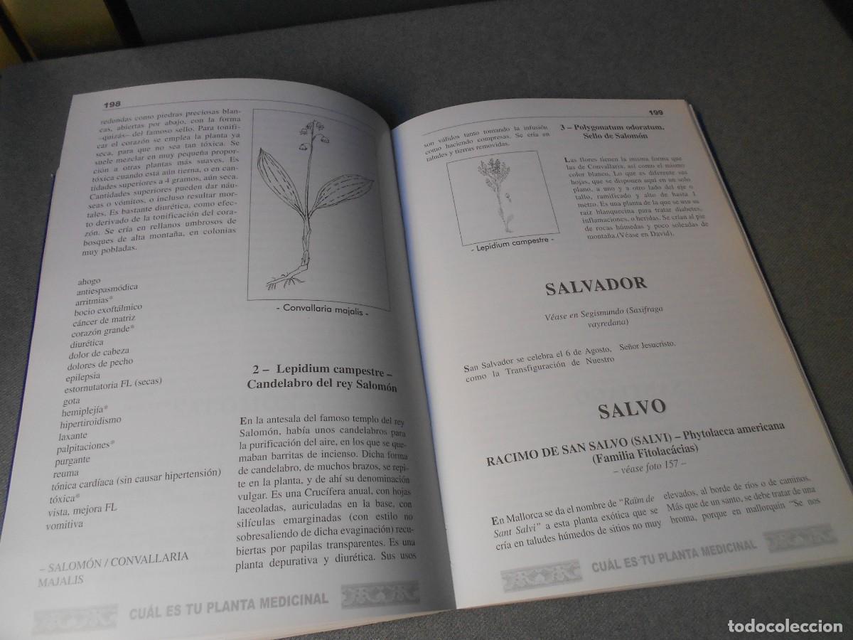 Libros de segunda mano: CUAL ES TU PLANTA MEDICINAL - Foto 9
