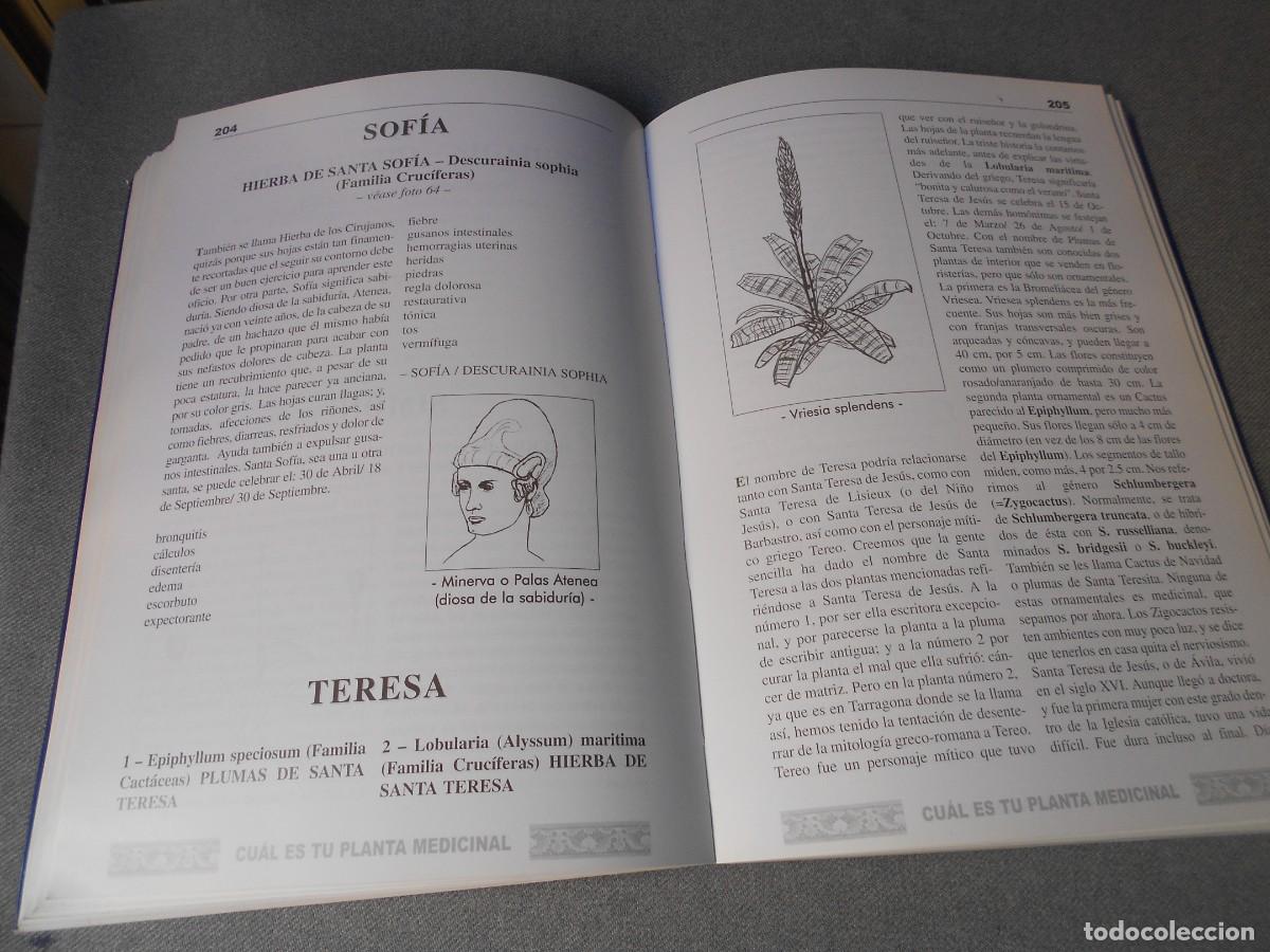 Libros de segunda mano: CUAL ES TU PLANTA MEDICINAL - Foto 10