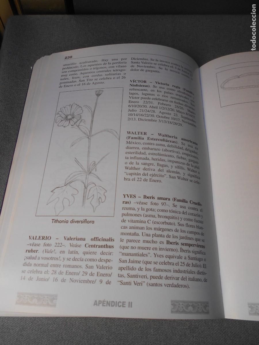 Libros de segunda mano: CUAL ES TU PLANTA MEDICINAL - Foto 11
