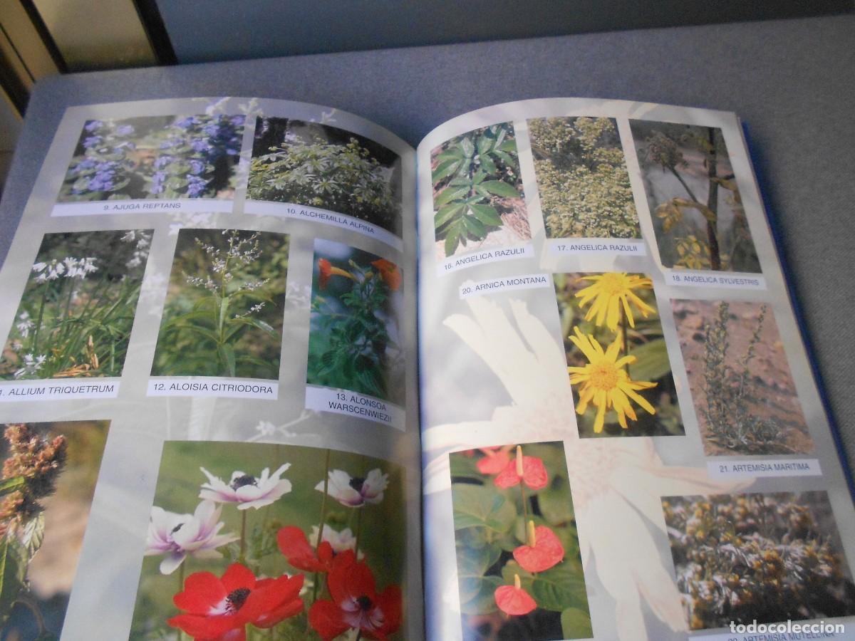 Libros de segunda mano: CUAL ES TU PLANTA MEDICINAL - Foto 12