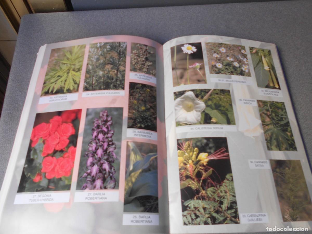 Libros de segunda mano: CUAL ES TU PLANTA MEDICINAL - Foto 13