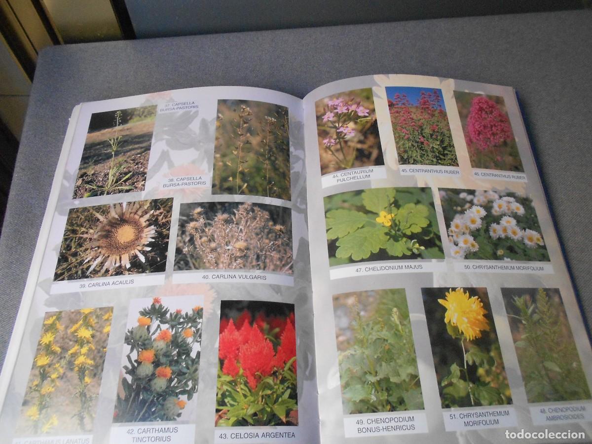 Libros de segunda mano: CUAL ES TU PLANTA MEDICINAL - Foto 14
