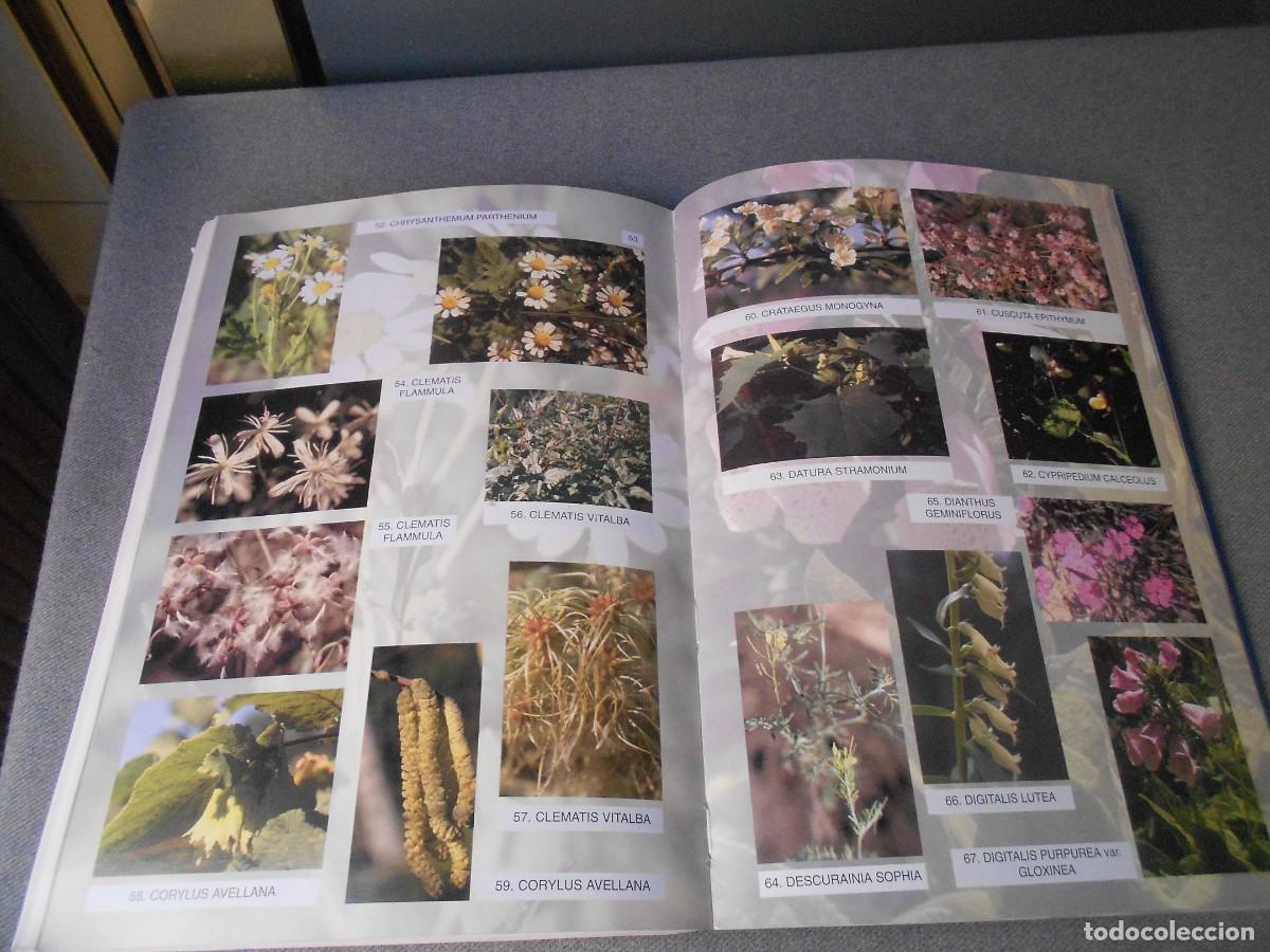 Libros de segunda mano: CUAL ES TU PLANTA MEDICINAL - Foto 15