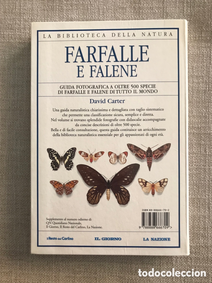 Libros de segunda mano: Gu&iacute;a de Mariposas Diurnas y Nocturnas - Foto 3