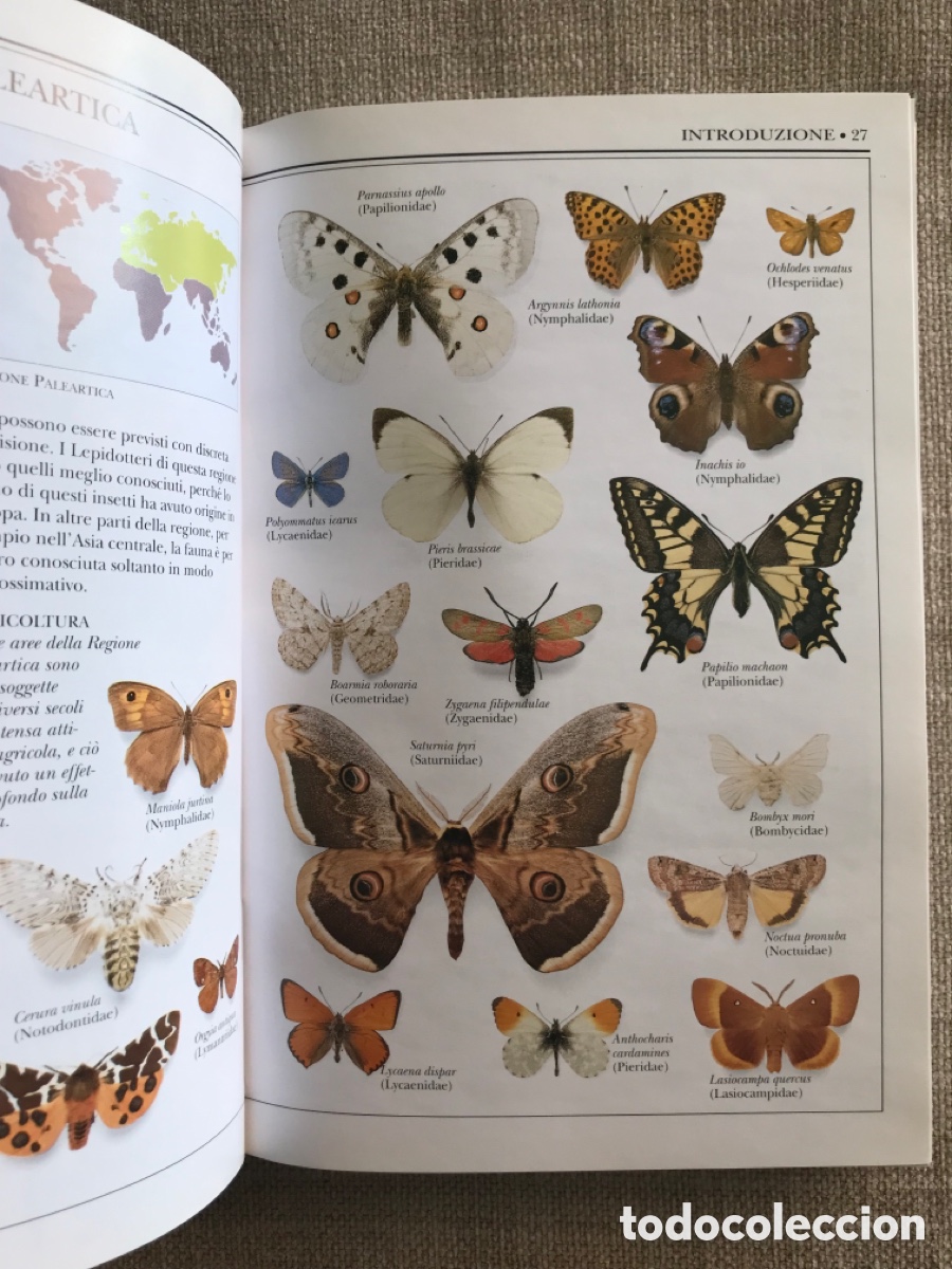 Libros de segunda mano: Gu&iacute;a de Mariposas Diurnas y Nocturnas - Foto 4
