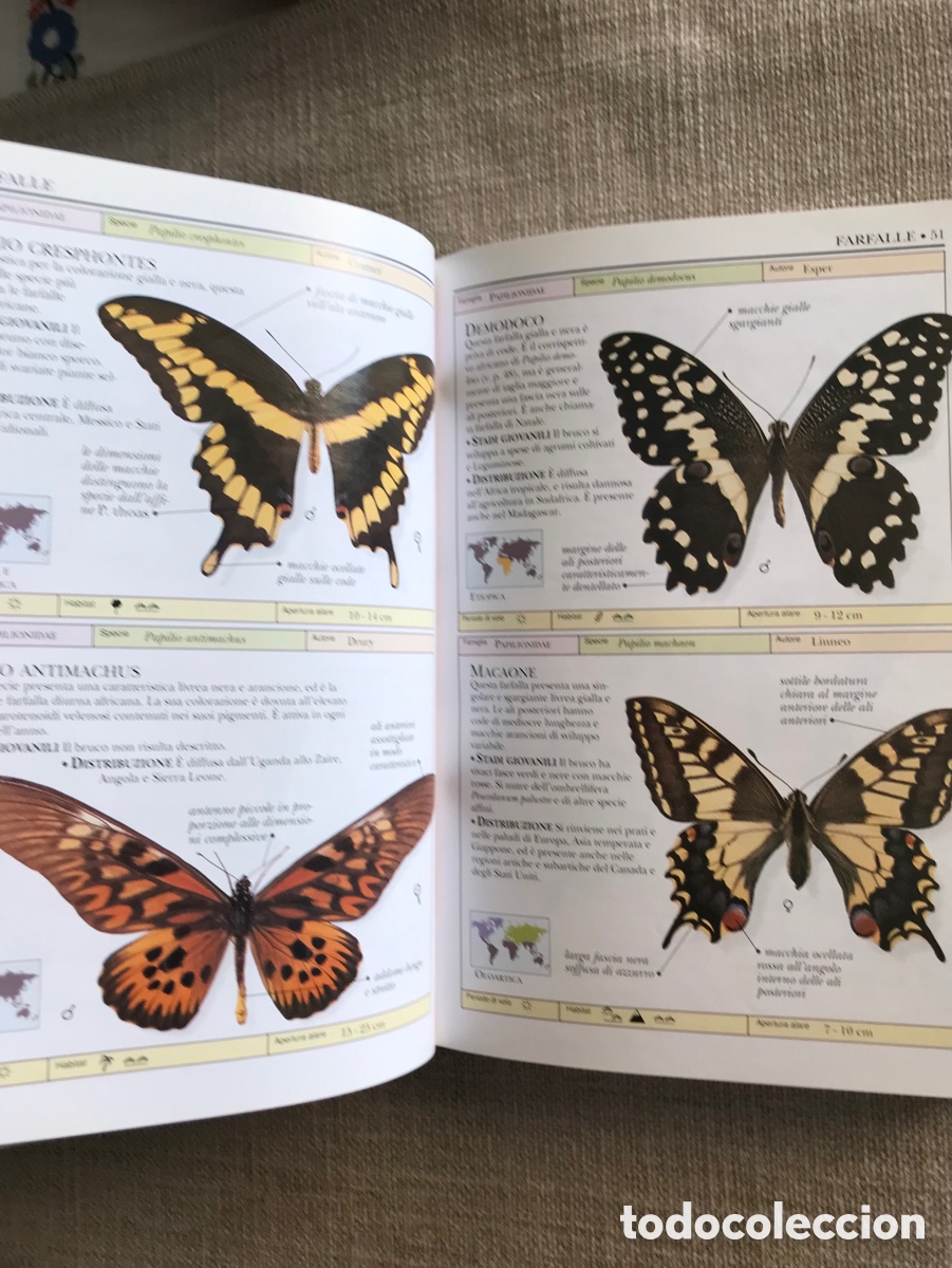 Libros de segunda mano: Gu&iacute;a de Mariposas Diurnas y Nocturnas - Foto 9