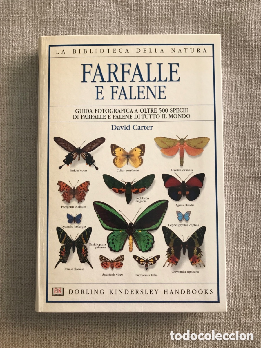 Libros de segunda mano: Gu&iacute;a de Mariposas Diurnas y Nocturnas - Foto 1