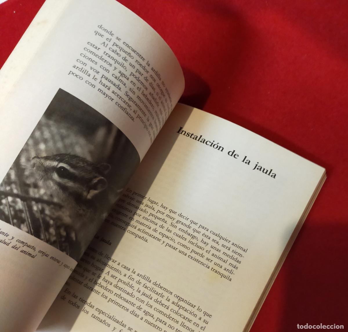 Libros de segunda mano: TODO SOBRE LA ARDILLA - Foto 3