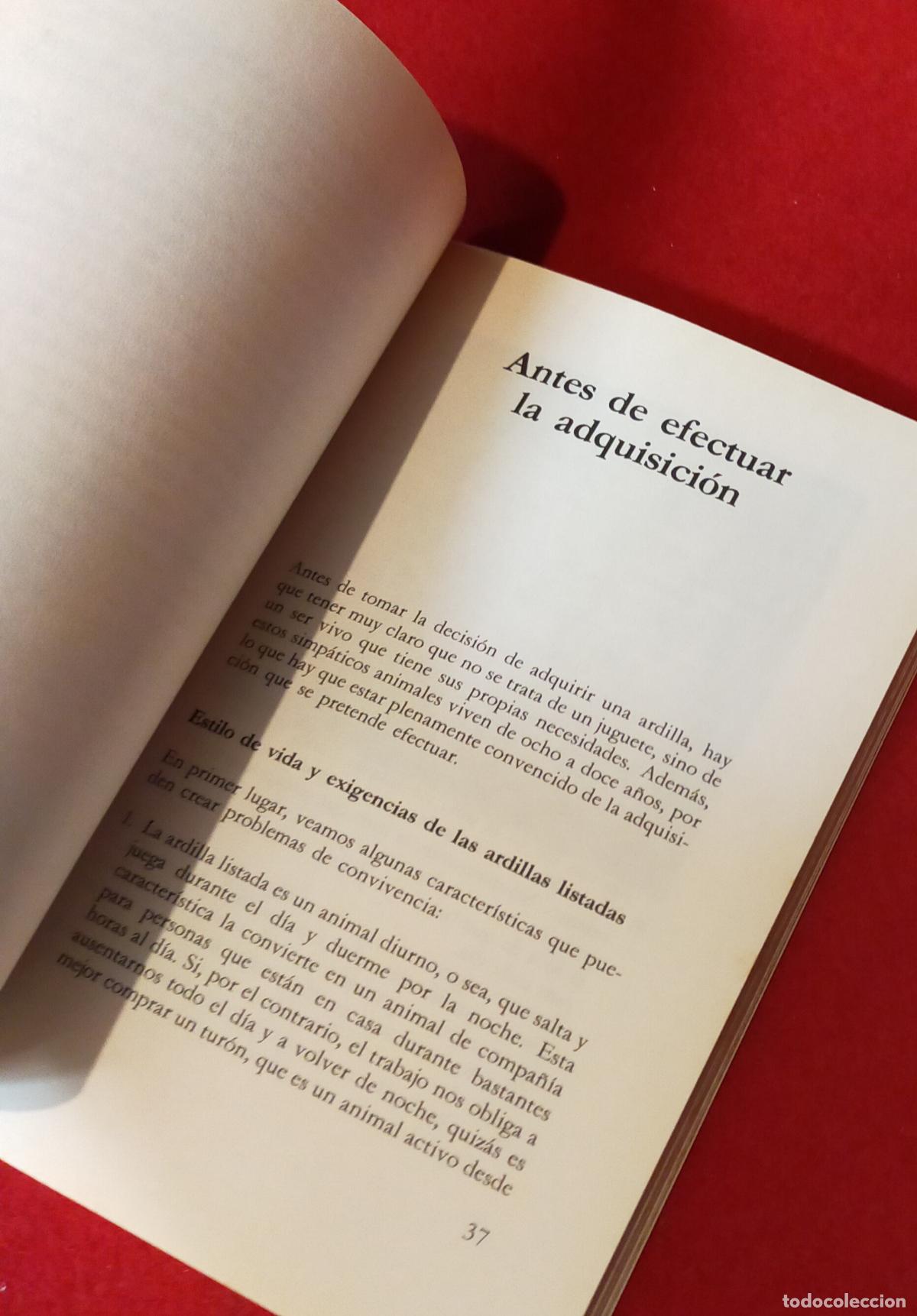 Libros de segunda mano: TODO SOBRE LA ARDILLA - Foto 4