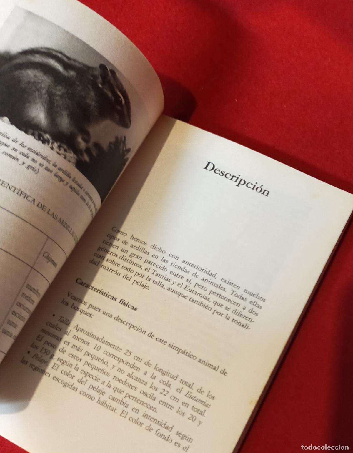 Libros de segunda mano: TODO SOBRE LA ARDILLA - Foto 5