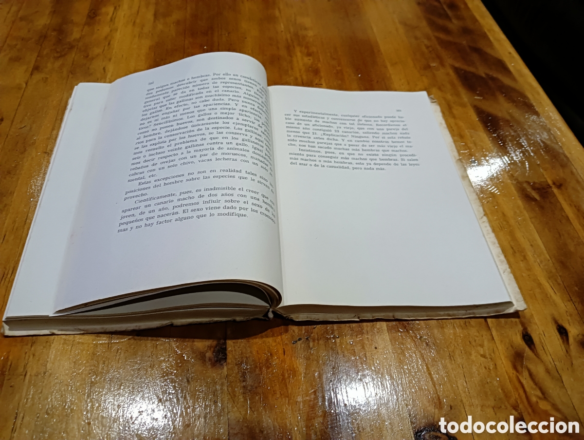 Libros de segunda mano: El canario - Foto 3
