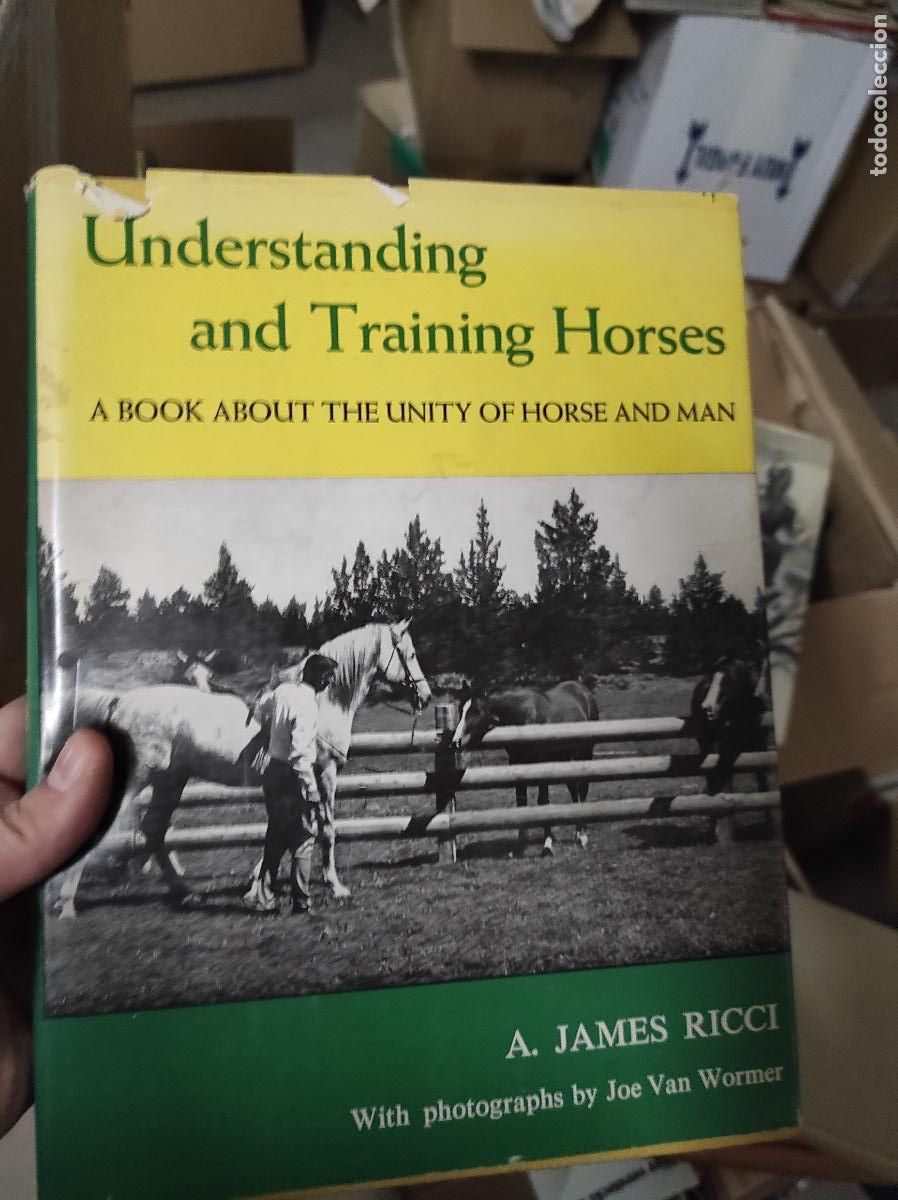 Libros de segunda mano: Understanding And Training Horses James Ricci - Caballos - Foto 1