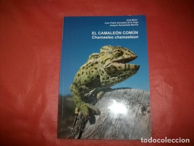 Libros de segunda mano: EL CAMALE&Oacute;N COM&Uacute;N - J&Uuml;RG MEIER Y OTROS - Foto 1