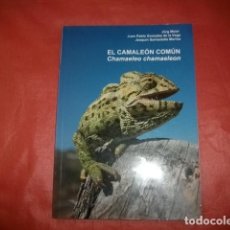 Libros de segunda mano: EL CAMALEÓN COMÚN - JÜRG MEIER Y OTROS