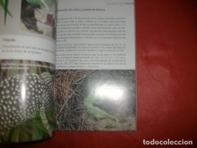 Libros de segunda mano: EL CAMALE&Oacute;N COM&Uacute;N - J&Uuml;RG MEIER Y OTROS - Foto 2