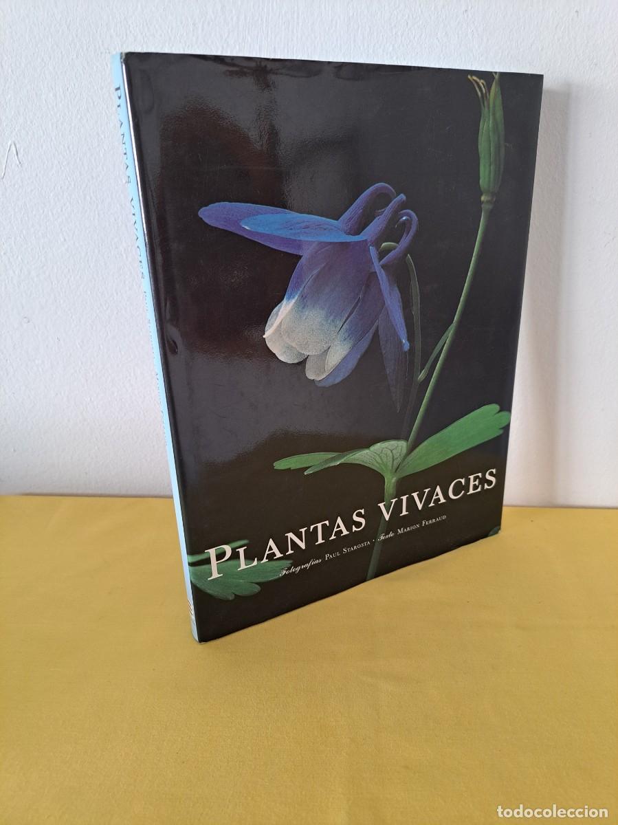 Libros de segunda mano: MARION FERRAUD - PLANTAS VIVACES - EDICIONES EVERGREEN 1999 - Foto 1
