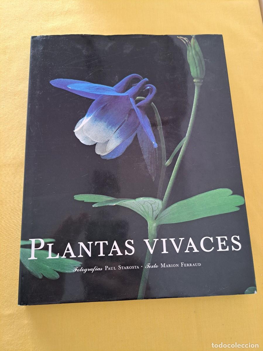 Libros de segunda mano: MARION FERRAUD - PLANTAS VIVACES - EDICIONES EVERGREEN 1999 - Foto 2