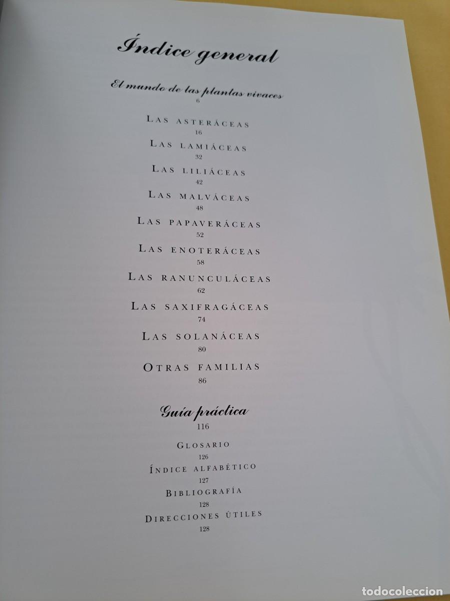Libros de segunda mano: MARION FERRAUD - PLANTAS VIVACES - EDICIONES EVERGREEN 1999 - Foto 3