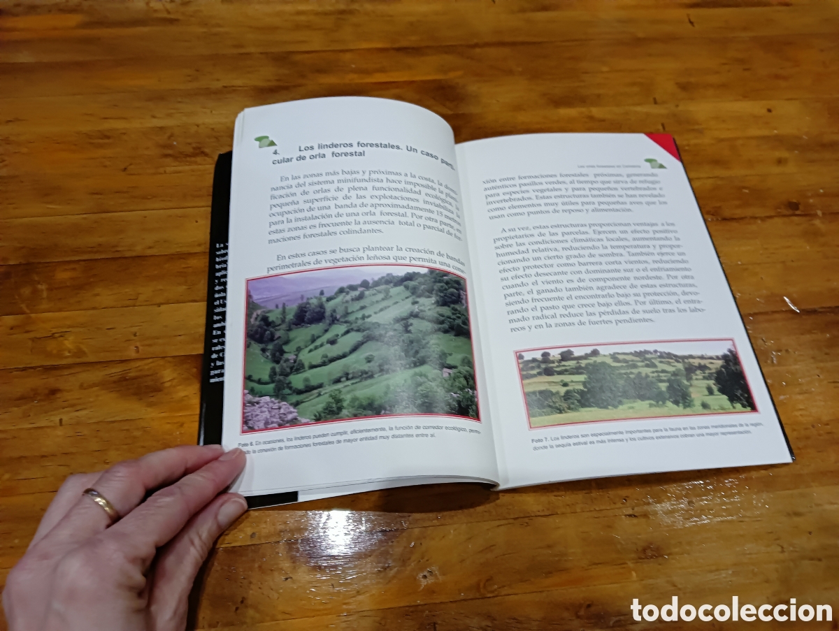 Libros de segunda mano: Conservaci&oacute;n de la biodiversidad de Cantabria - Foto 3