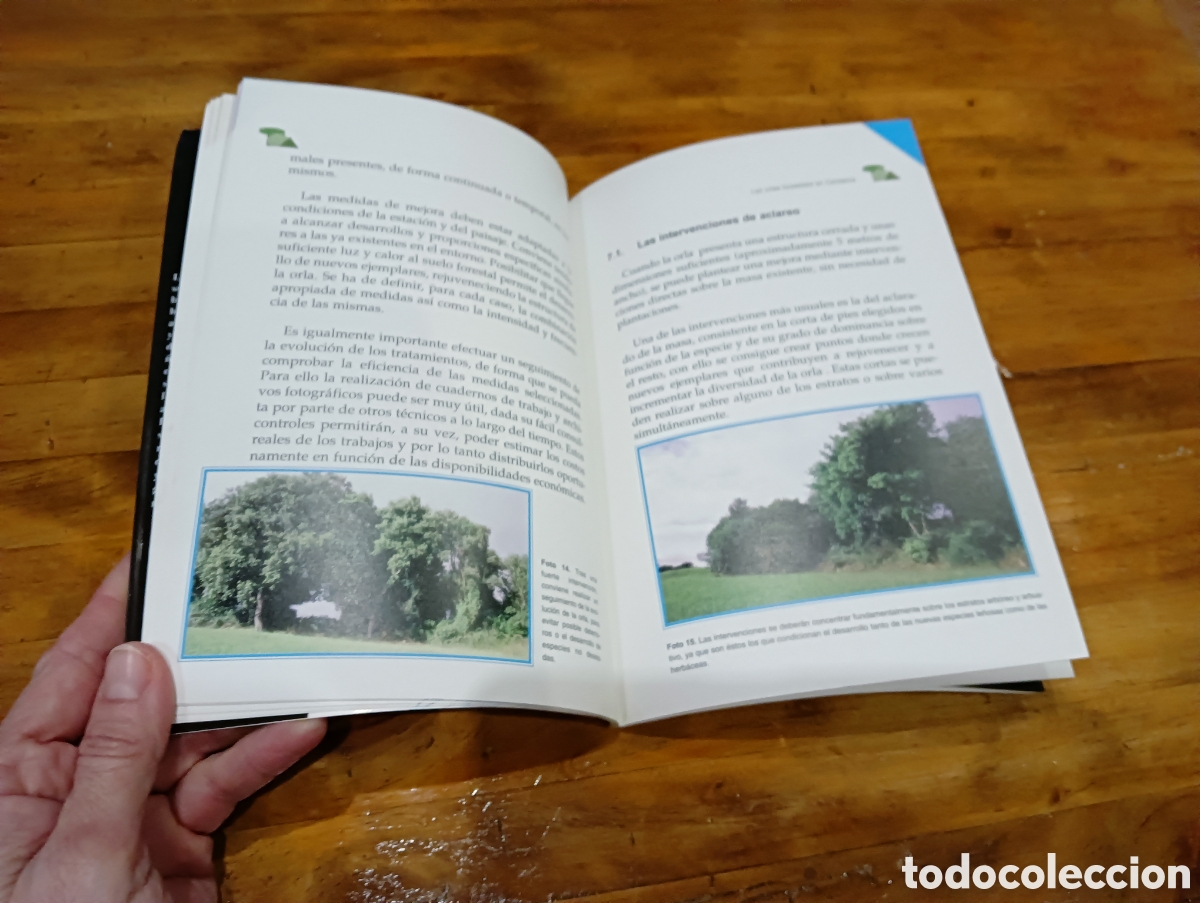 Libros de segunda mano: Conservaci&oacute;n de la biodiversidad de Cantabria - Foto 4