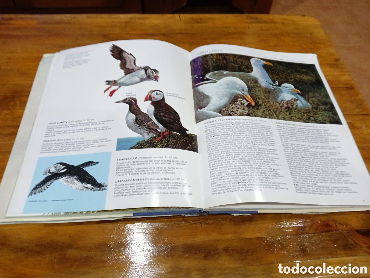 Libros de segunda mano: Nuestras aves . - Foto 4