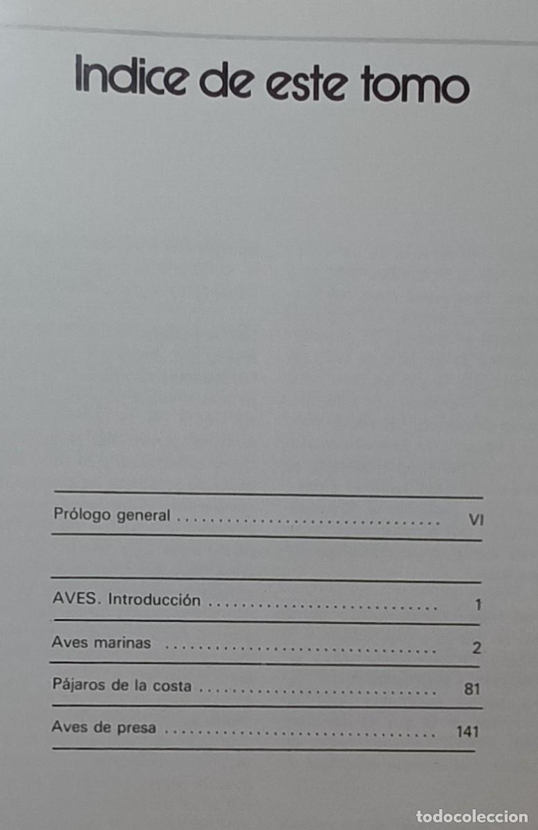 Libros de segunda mano: EL LIBRO DE LA FAUNA IBERICA 1 - ED. NARANCO - Foto 2