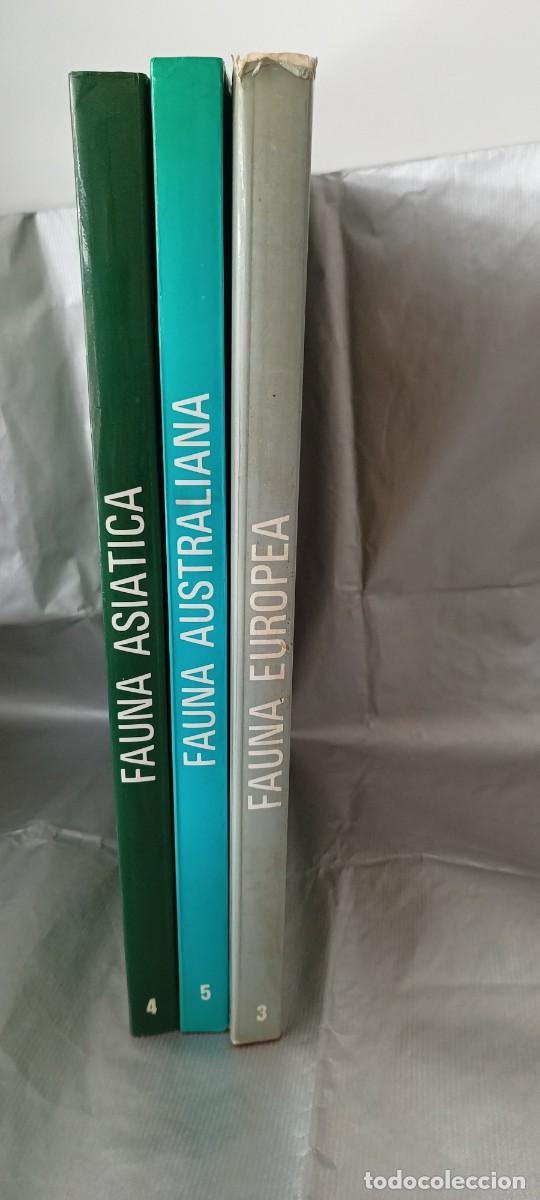 Libros de segunda mano: Fauna Asiatica - Australiana - Europea - Timun Mas - Foto 2