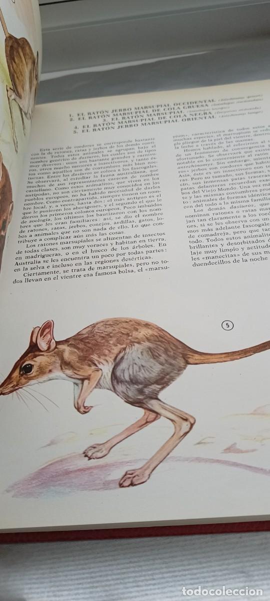 Libros de segunda mano: Fauna Asiatica - Australiana - Europea - Timun Mas - Foto 8