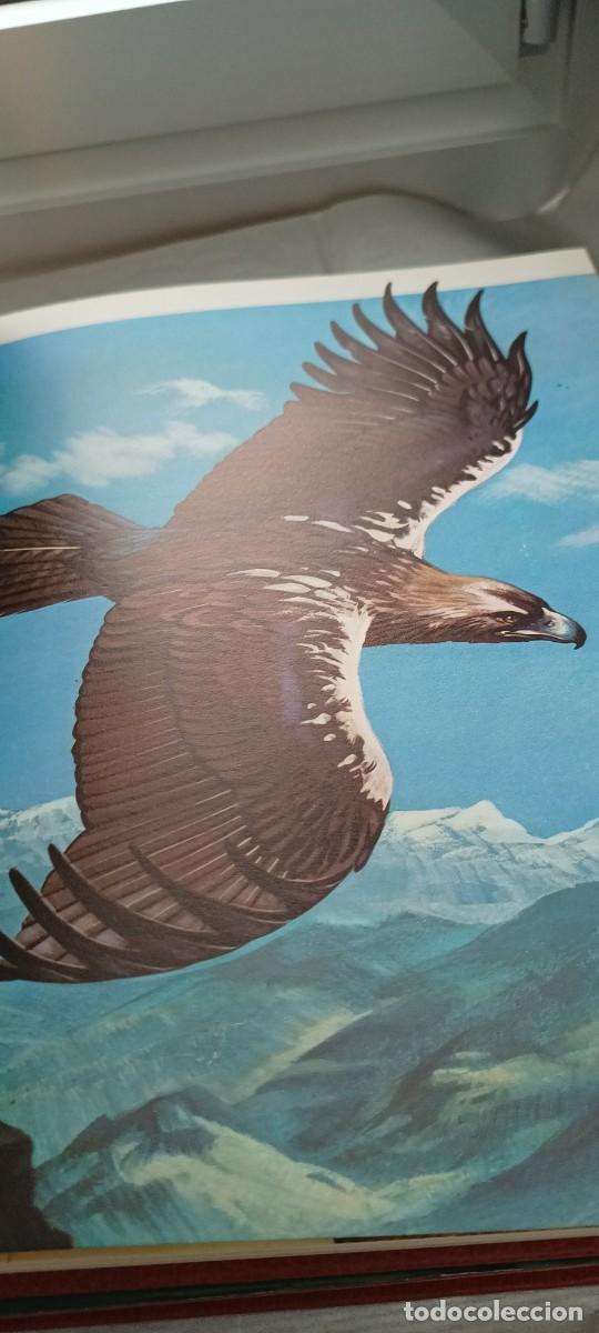 Libros de segunda mano: Fauna Asiatica - Australiana - Europea - Timun Mas - Foto 9