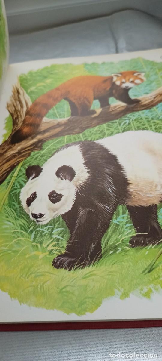 Libros de segunda mano: Fauna Asiatica - Australiana - Europea - Timun Mas - Foto 11