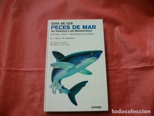 Libros de segunda mano: GU&Iacute;A DE LOS PECES DE MAR DEL ATL&Aacute;NTICO Y DEL MEDITERR&Aacute;NEO - Foto 1