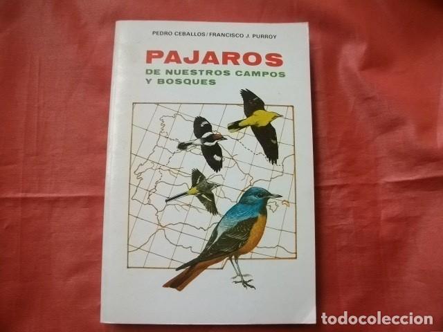 Libros de segunda mano: P&Aacute;JAROS DE NUESTROS CAMPOS Y BOSQUES - Foto 1