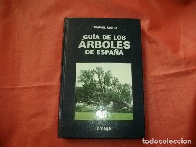 Libros de segunda mano: GU&Iacute;A DE LOS &Aacute;RBOLES DE ESPA&Ntilde;A - RAFAEL MORO - Foto 1