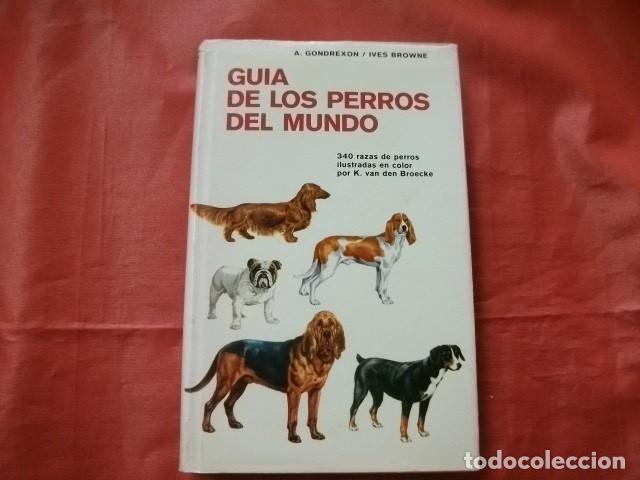 Libros de segunda mano: GU&Iacute;A DE LOS PERROS DEL MUNDO - Foto 1