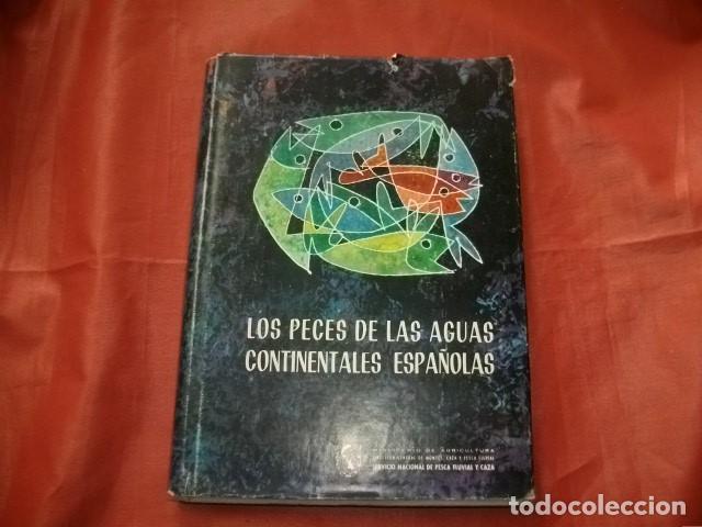 Libros de segunda mano: LOS PECES DE LAS AGUAS CONTINENTALES ESPA&Ntilde;OLAS - Foto 1
