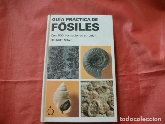Libros de segunda mano: GU&Iacute;A PR&Aacute;CTICA DE F&Oacute;SILES - HELMUT MAYR - Foto 1