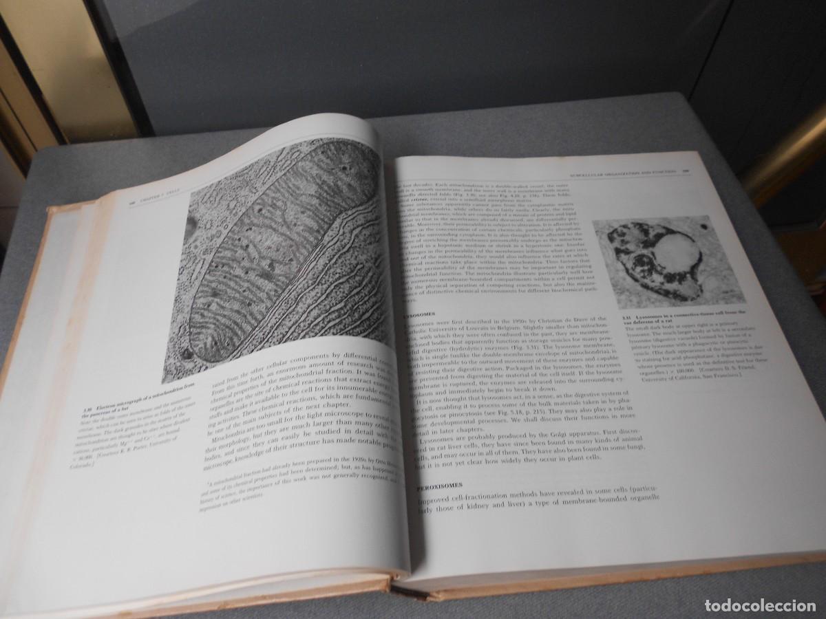 Libros de segunda mano: BIOLOGICAL SCIENCE - Foto 7