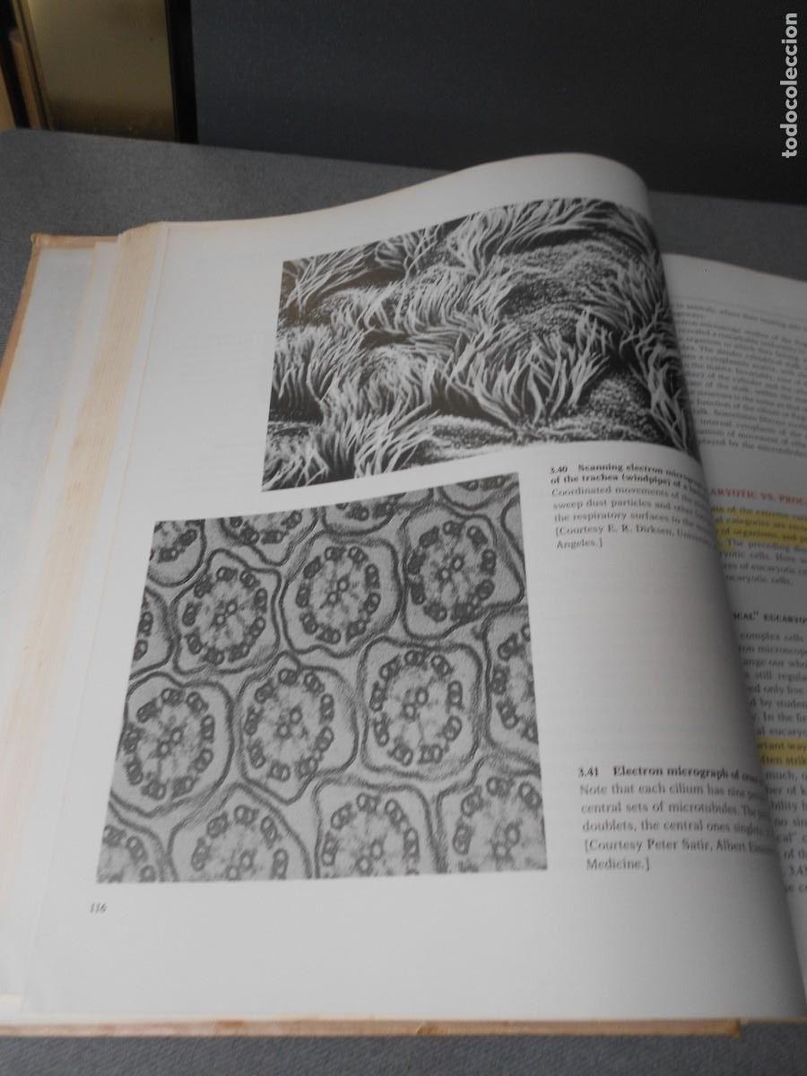 Libros de segunda mano: BIOLOGICAL SCIENCE - Foto 8