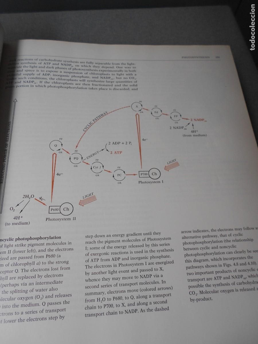 Libros de segunda mano: BIOLOGICAL SCIENCE - Foto 9