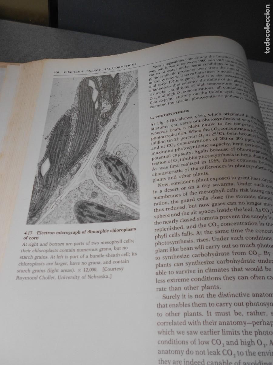 Libros de segunda mano: BIOLOGICAL SCIENCE - Foto 10
