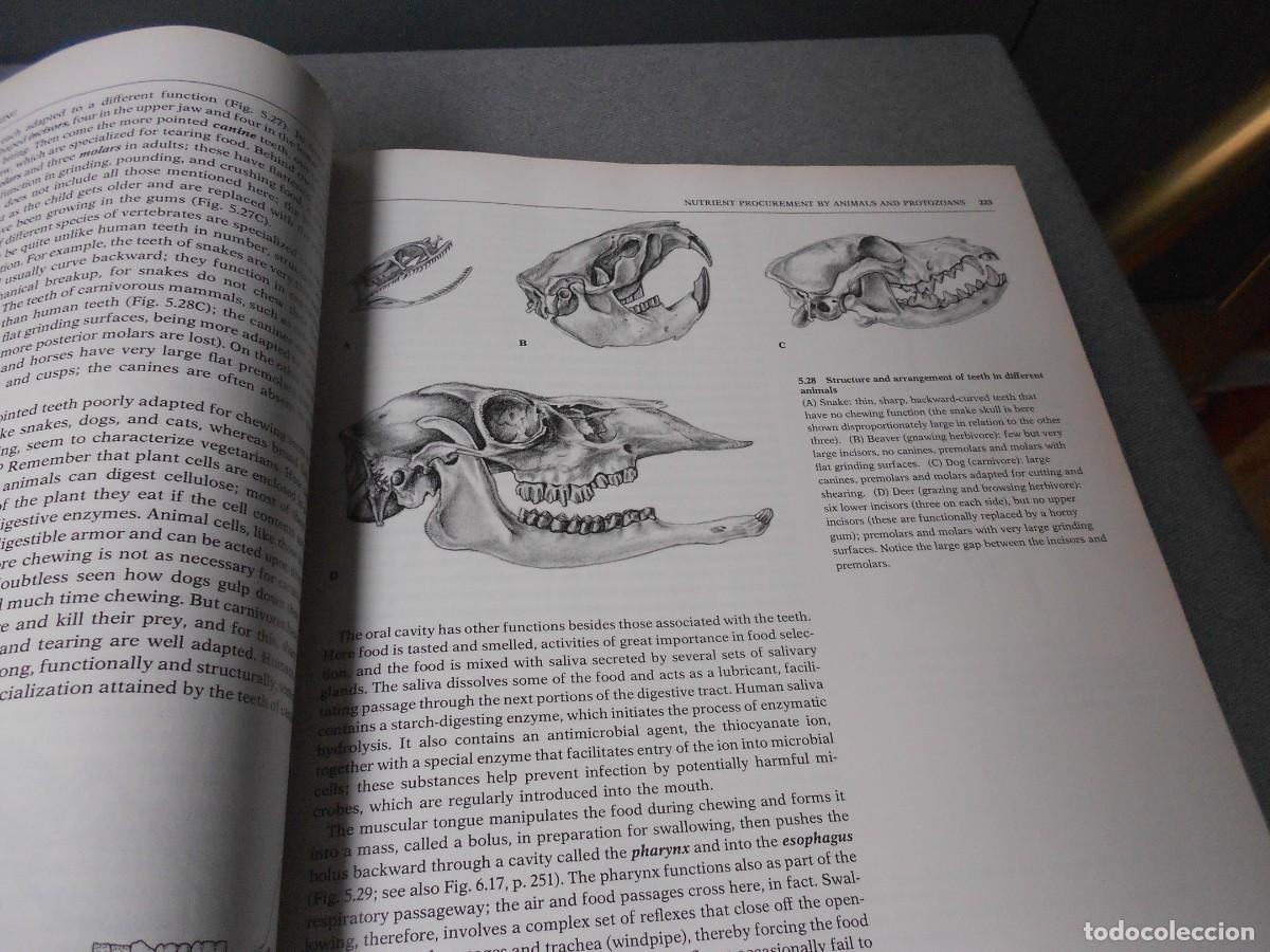 Libros de segunda mano: BIOLOGICAL SCIENCE - Foto 11