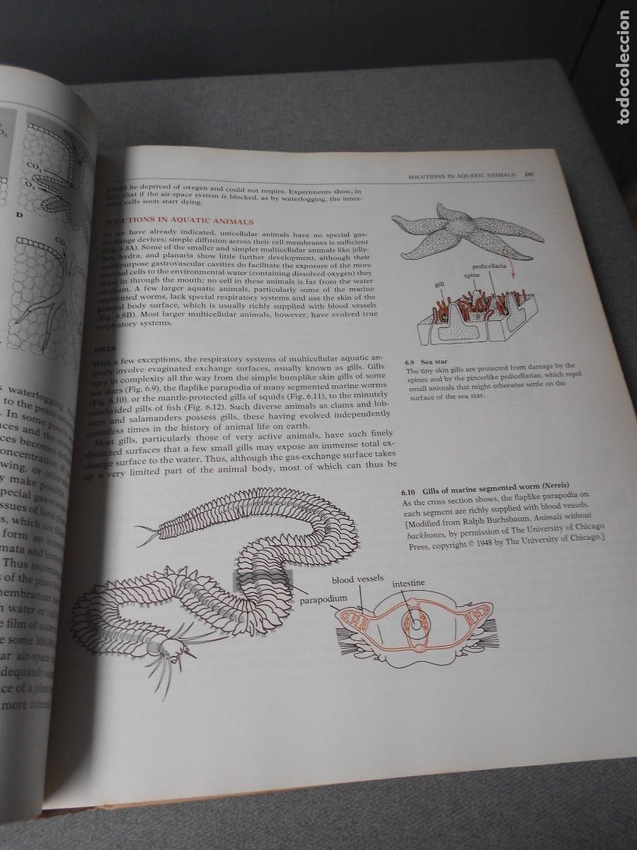 Libros de segunda mano: BIOLOGICAL SCIENCE - Foto 12