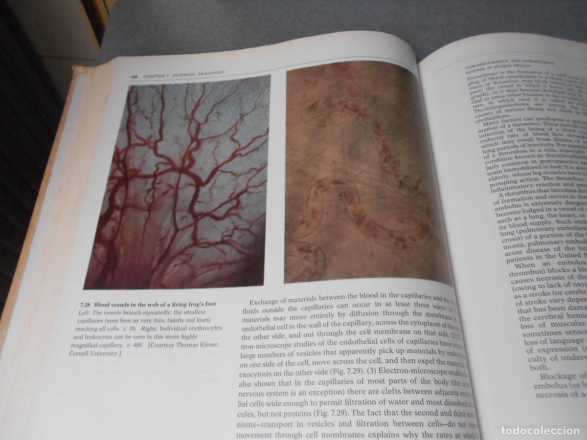 Libros de segunda mano: BIOLOGICAL SCIENCE - Foto 13