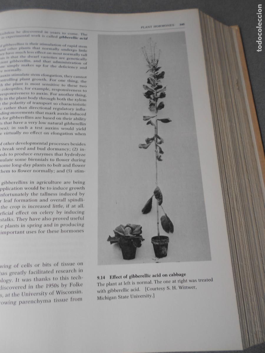 Libros de segunda mano: BIOLOGICAL SCIENCE - Foto 14