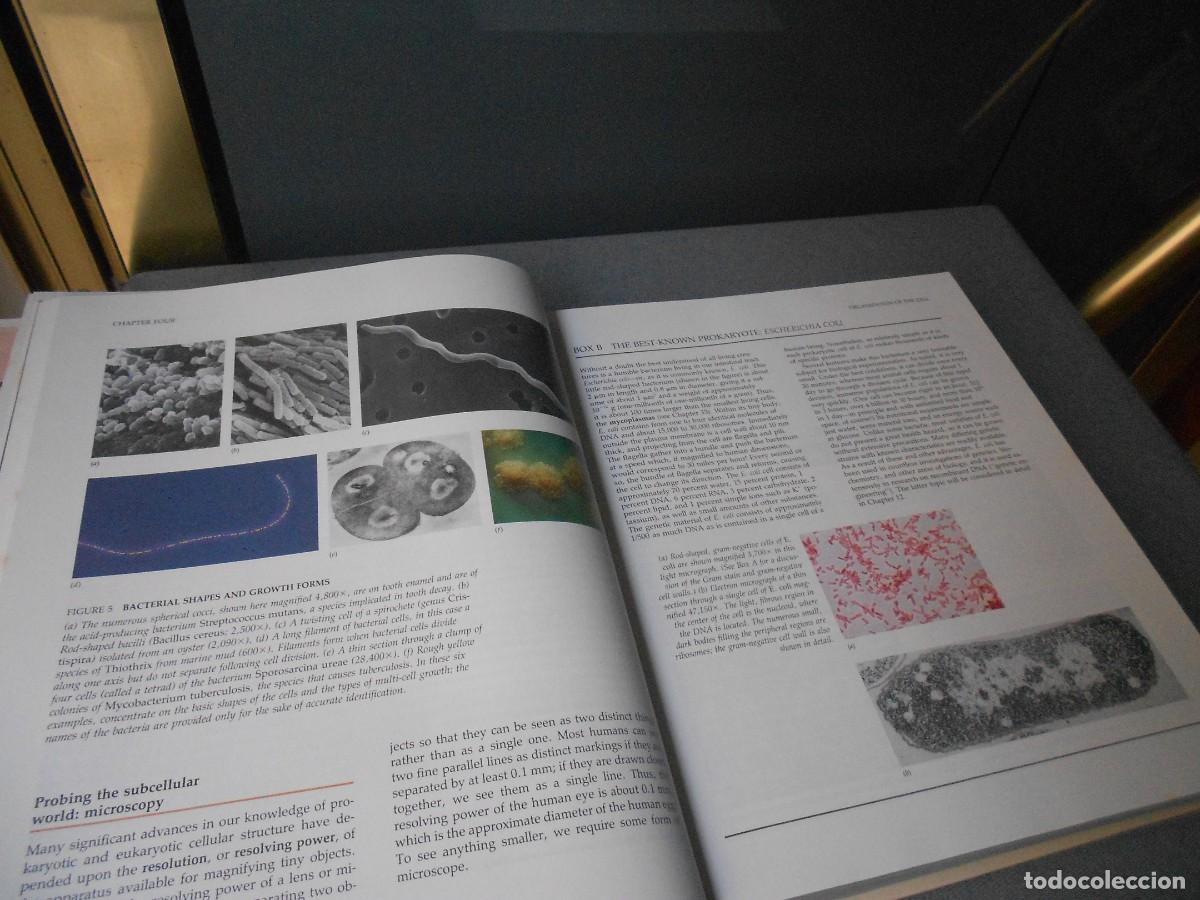 Libros de segunda mano: LIFE - Foto 3
