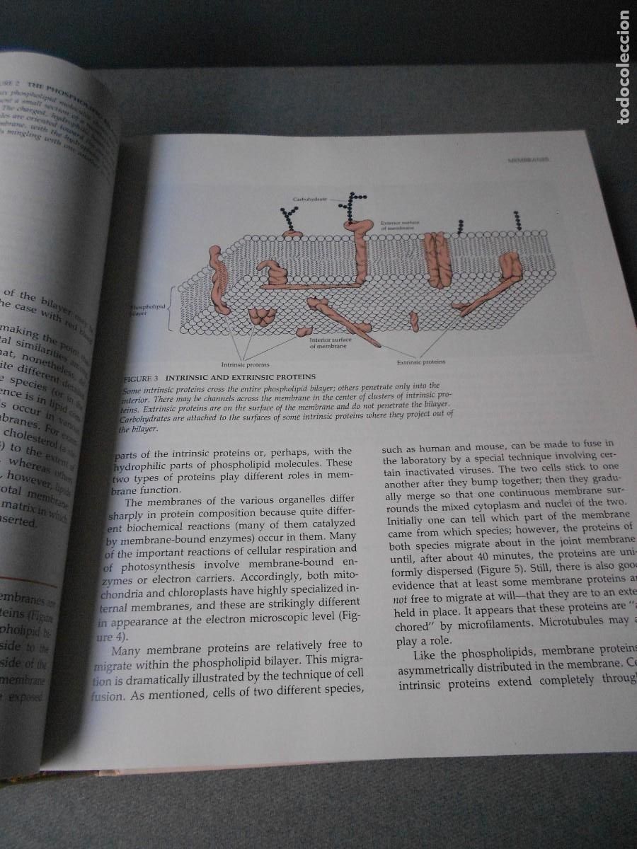 Libros de segunda mano: LIFE - Foto 4