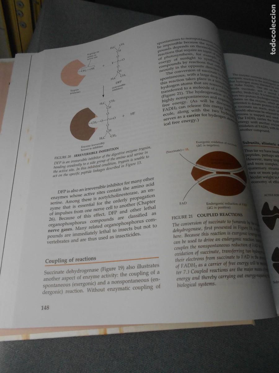 Libros de segunda mano: LIFE - Foto 5