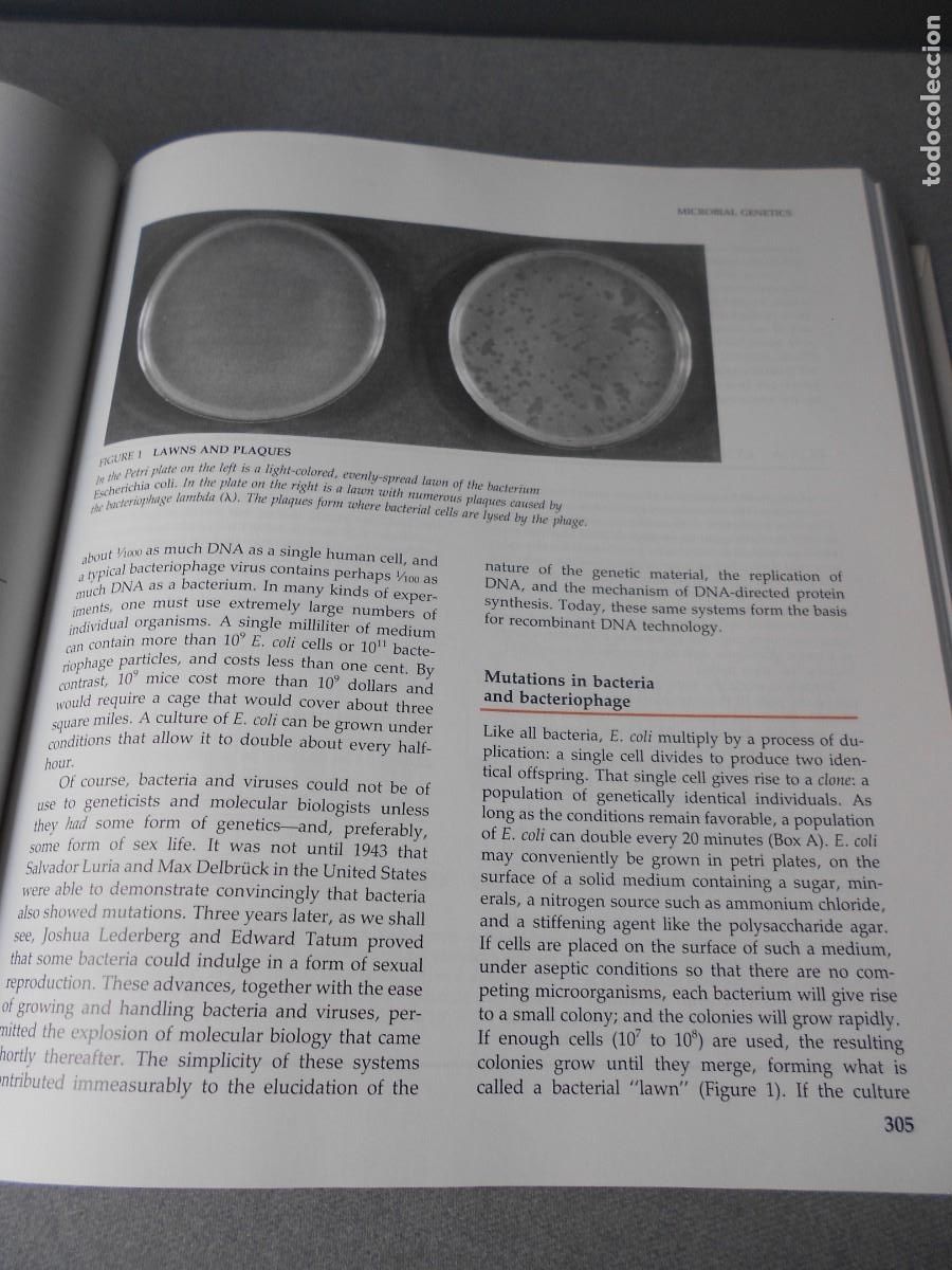 Libros de segunda mano: LIFE - Foto 8