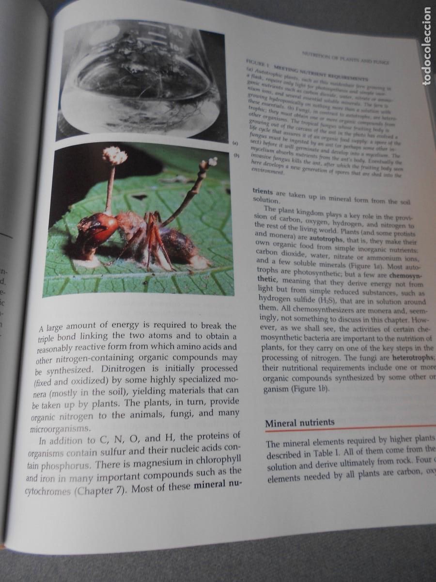 Libros de segunda mano: LIFE - Foto 10